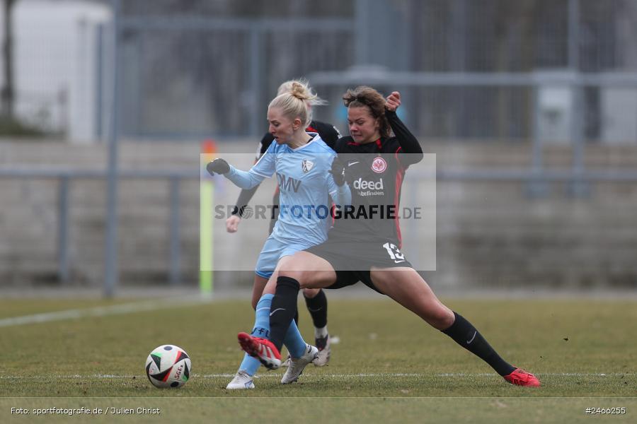 sport, action, VfL Bochum 1848, VFL, Stadion am Brentanobad, SGE, Fussball, Frankfurt, Eintracht Frankfurt II, DFB, 2. Frauen-Bundesliga, 16.02.2025 - Bild-ID: 2466255 sport, action, VfL Bochum 1848, VFL, Stadion am Brentanobad, SGE, Fussball, Frankfurt, Eintracht Frankfurt II, DFB, 2. Frauen-Bundesliga, 16.02.2025 - Bild-ID: 2466255