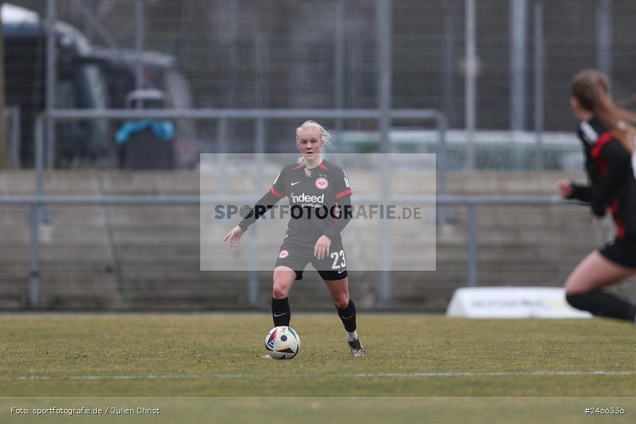 sport, action, VfL Bochum 1848, VFL, Stadion am Brentanobad, SGE, Fussball, Frankfurt, Eintracht Frankfurt II, DFB, 2. Frauen-Bundesliga, 16.02.2025 - Bild-ID: 2466336 sport, action, VfL Bochum 1848, VFL, Stadion am Brentanobad, SGE, Fussball, Frankfurt, Eintracht Frankfurt II, DFB, 2. Frauen-Bundesliga, 16.02.2025 - Bild-ID: 2466336