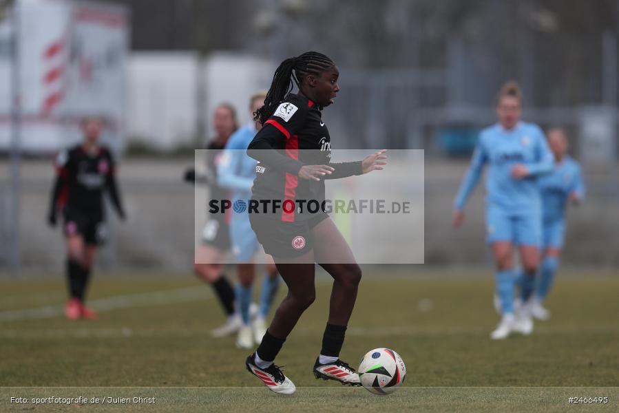 sport, action, VfL Bochum 1848, VFL, Stadion am Brentanobad, SGE, Fussball, Frankfurt, Eintracht Frankfurt II, DFB, 2. Frauen-Bundesliga, 16.02.2025 - Bild-ID: 2466495 sport, action, VfL Bochum 1848, VFL, Stadion am Brentanobad, SGE, Fussball, Frankfurt, Eintracht Frankfurt II, DFB, 2. Frauen-Bundesliga, 16.02.2025 - Bild-ID: 2466495