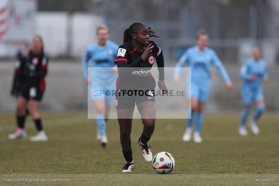 sport, action, VfL Bochum 1848, VFL, Stadion am Brentanobad, SGE, Fussball, Frankfurt, Eintracht Frankfurt II, DFB, 2. Frauen-Bundesliga, 16.02.2025 - Bild-ID: 2466496 sport, action, VfL Bochum 1848, VFL, Stadion am Brentanobad, SGE, Fussball, Frankfurt, Eintracht Frankfurt II, DFB, 2. Frauen-Bundesliga, 16.02.2025 - Bild-ID: 2466496