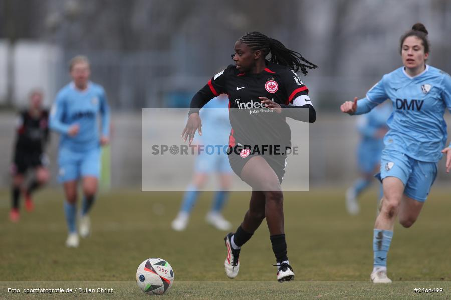 sport, action, VfL Bochum 1848, VFL, Stadion am Brentanobad, SGE, Fussball, Frankfurt, Eintracht Frankfurt II, DFB, 2. Frauen-Bundesliga, 16.02.2025 - Bild-ID: 2466499 sport, action, VfL Bochum 1848, VFL, Stadion am Brentanobad, SGE, Fussball, Frankfurt, Eintracht Frankfurt II, DFB, 2. Frauen-Bundesliga, 16.02.2025 - Bild-ID: 2466499