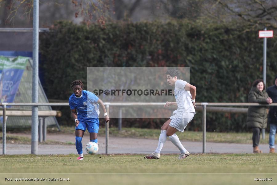 sport, action, TSV Schott Mainz, TSV, Sportgelände am Schönbusch, SVA, SV Viktoria Aschaffenburg, Regionalliga Bayern, Oberliga Rheinland-Pfalz Saar, Fussball, BFV, Aschaffenburg, 22.02.2025 - Bild-ID: 2466843