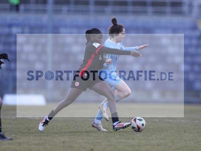 Bild-ID: 2466136