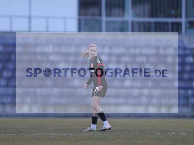 Bild-ID: 2466139