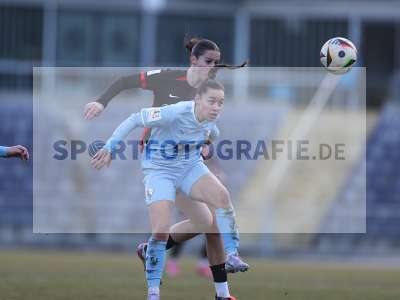 Bild-ID: 2466149