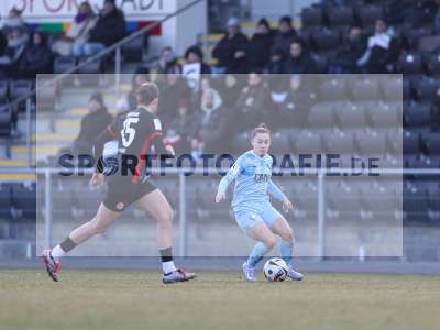 Bild-ID: 2466205