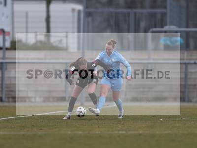 Bild-ID: 2466361
