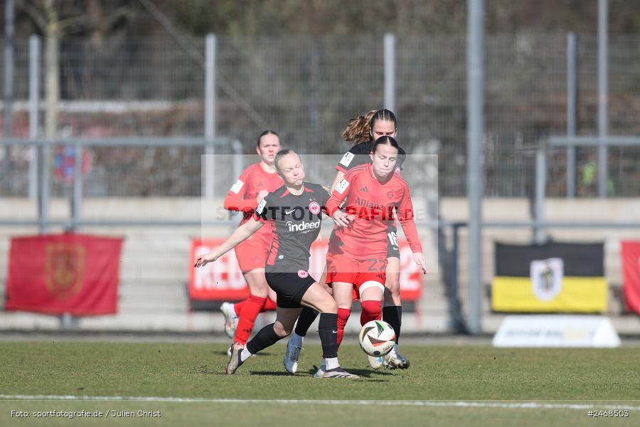 sport, action, Stadion am Brentanobad, SGE, Fussball, Frankfurt, FCB, FC Bayern München II, Eintracht Frankfurt II, DFB, 2. Frauen-Bundesliga, 02.03.2025 - Bild-ID: 2468503 sport, action, Stadion am Brentanobad, SGE, Fussball, Frankfurt, FCB, FC Bayern München II, Eintracht Frankfurt II, DFB, 2. Frauen-Bundesliga, 02.03.2025 - Bild-ID: 2468503