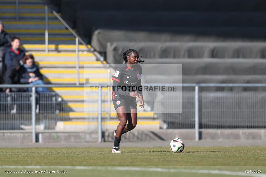 sport, action, Stadion am Brentanobad, SGE, Fussball, Frankfurt, FCB, FC Bayern München II, Eintracht Frankfurt II, DFB, 2. Frauen-Bundesliga, 02.03.2025 - Bild-ID: 2468527 sport, action, Stadion am Brentanobad, SGE, Fussball, Frankfurt, FCB, FC Bayern München II, Eintracht Frankfurt II, DFB, 2. Frauen-Bundesliga, 02.03.2025 - Bild-ID: 2468527