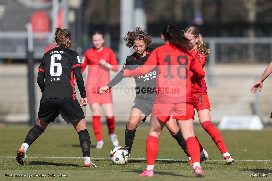 sport, action, Stadion am Brentanobad, SGE, Fussball, Frankfurt, FCB, FC Bayern München II, Eintracht Frankfurt II, DFB, 2. Frauen-Bundesliga, 02.03.2025 - Bild-ID: 2468583 sport, action, Stadion am Brentanobad, SGE, Fussball, Frankfurt, FCB, FC Bayern München II, Eintracht Frankfurt II, DFB, 2. Frauen-Bundesliga, 02.03.2025 - Bild-ID: 2468583