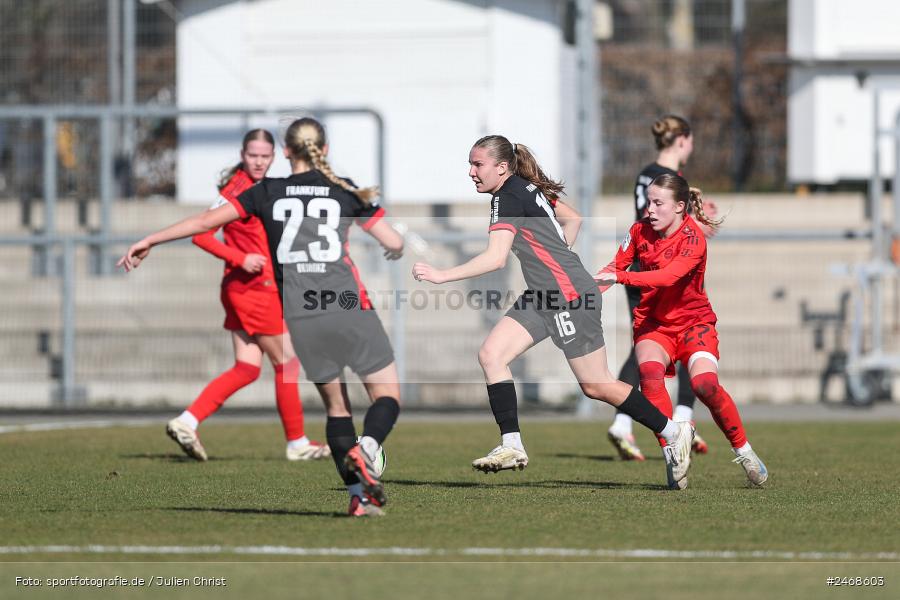 sport, action, Stadion am Brentanobad, SGE, Fussball, Frankfurt, FCB, FC Bayern München II, Eintracht Frankfurt II, DFB, 2. Frauen-Bundesliga, 02.03.2025 - Bild-ID: 2468603 sport, action, Stadion am Brentanobad, SGE, Fussball, Frankfurt, FCB, FC Bayern München II, Eintracht Frankfurt II, DFB, 2. Frauen-Bundesliga, 02.03.2025 - Bild-ID: 2468603
