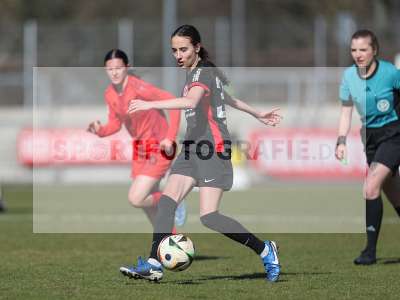 Bild-ID: 2468673