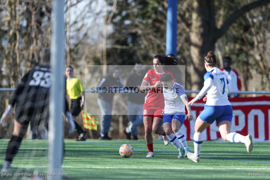 sport, action, TSV Jahn Calden, TSV, Regionalliga Süd, Offenbach, OFC, Kickers Offenbach, KR Bierbrauerweg, Fussball, 02.03.2025 - Bild-ID: 2469146