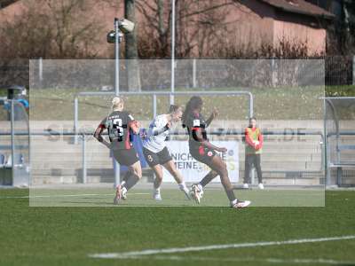 Bild-ID: 2471983