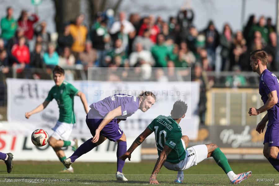 sport, action, TSV Schwaben Augsburg, TSV, Schweinfurt, Sachs-Stadion, Regionalliga Bayern, Fussball, FCS, BFV, 26. Spieltag, 22.03.2025, 1. FC Schweinfurt 1905 - Bild-ID: 2473609