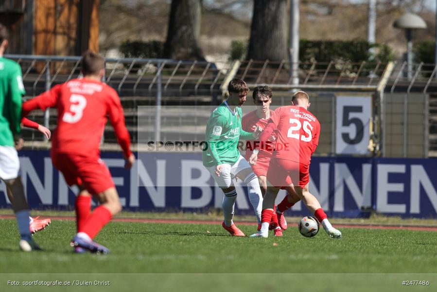 sport, action, Schweinfurt, Sachs Stadion, SV Rot-Weiss Walldorf, RWW, Hauptrunde Liga B Gruppe C, Fussball, FCS, DFB Nachwuchsliga, DFB, 9. Spieltag, 1. FC Schweinfurt 1905, 06.04.2025 - Bild-ID: 2477486