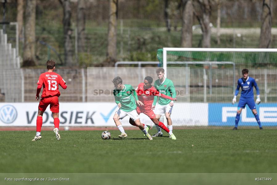 sport, action, Schweinfurt, Sachs Stadion, SV Rot-Weiss Walldorf, RWW, Hauptrunde Liga B Gruppe C, Fussball, FCS, DFB Nachwuchsliga, DFB, 9. Spieltag, 1. FC Schweinfurt 1905, 06.04.2025 - Bild-ID: 2477499 sport, action, Schweinfurt, Sachs Stadion, SV Rot-Weiss Walldorf, RWW, Hauptrunde Liga B Gruppe C, Fussball, FCS, DFB Nachwuchsliga, DFB, 9. Spieltag, 1. FC Schweinfurt 1905, 06.04.2025 - Bild-ID: 2477499