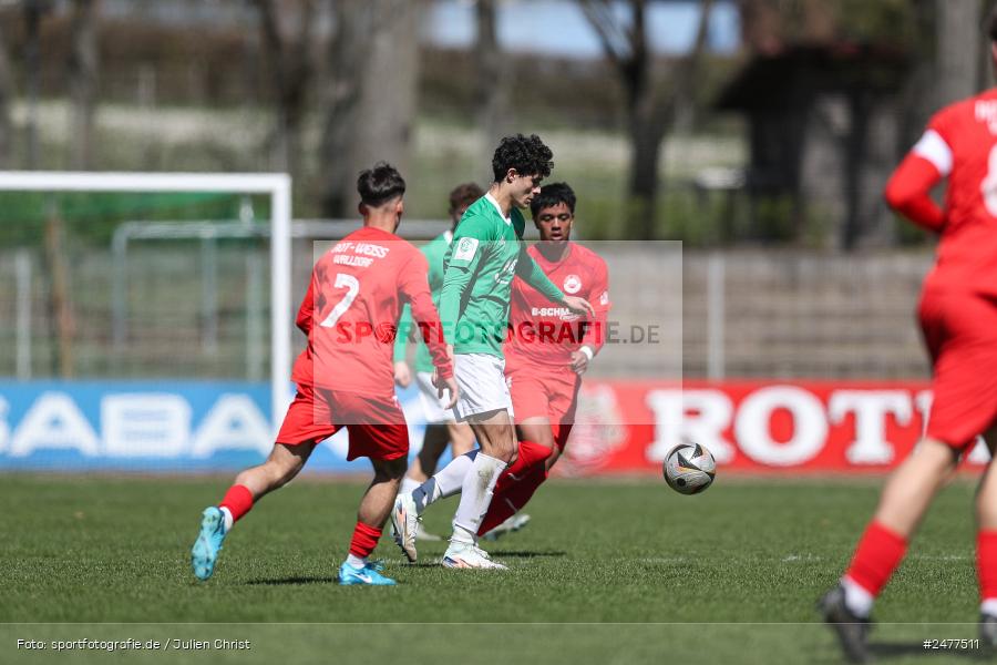 sport, action, Schweinfurt, Sachs Stadion, SV Rot-Weiss Walldorf, RWW, Hauptrunde Liga B Gruppe C, Fussball, FCS, DFB Nachwuchsliga, DFB, 9. Spieltag, 1. FC Schweinfurt 1905, 06.04.2025 - Bild-ID: 2477511 sport, action, Schweinfurt, Sachs Stadion, SV Rot-Weiss Walldorf, RWW, Hauptrunde Liga B Gruppe C, Fussball, FCS, DFB Nachwuchsliga, DFB, 9. Spieltag, 1. FC Schweinfurt 1905, 06.04.2025 - Bild-ID: 2477511