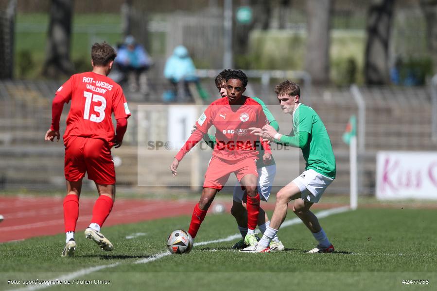 sport, action, Schweinfurt, Sachs Stadion, SV Rot-Weiss Walldorf, RWW, Hauptrunde Liga B Gruppe C, Fussball, FCS, DFB Nachwuchsliga, DFB, 9. Spieltag, 1. FC Schweinfurt 1905, 06.04.2025 - Bild-ID: 2477538 sport, action, Schweinfurt, Sachs Stadion, SV Rot-Weiss Walldorf, RWW, Hauptrunde Liga B Gruppe C, Fussball, FCS, DFB Nachwuchsliga, DFB, 9. Spieltag, 1. FC Schweinfurt 1905, 06.04.2025 - Bild-ID: 2477538