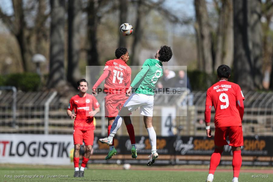 sport, action, Schweinfurt, Sachs Stadion, SV Rot-Weiss Walldorf, RWW, Hauptrunde Liga B Gruppe C, Fussball, FCS, DFB Nachwuchsliga, DFB, 9. Spieltag, 1. FC Schweinfurt 1905, 06.04.2025 - Bild-ID: 2477623