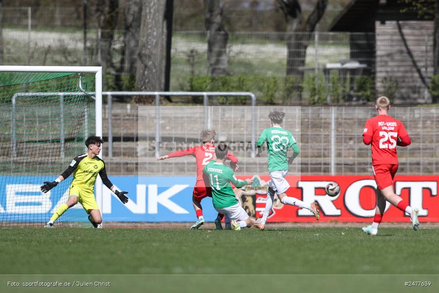 sport, action, Schweinfurt, Sachs Stadion, SV Rot-Weiss Walldorf, RWW, Hauptrunde Liga B Gruppe C, Fussball, FCS, DFB Nachwuchsliga, DFB, 9. Spieltag, 1. FC Schweinfurt 1905, 06.04.2025 - Bild-ID: 2477639