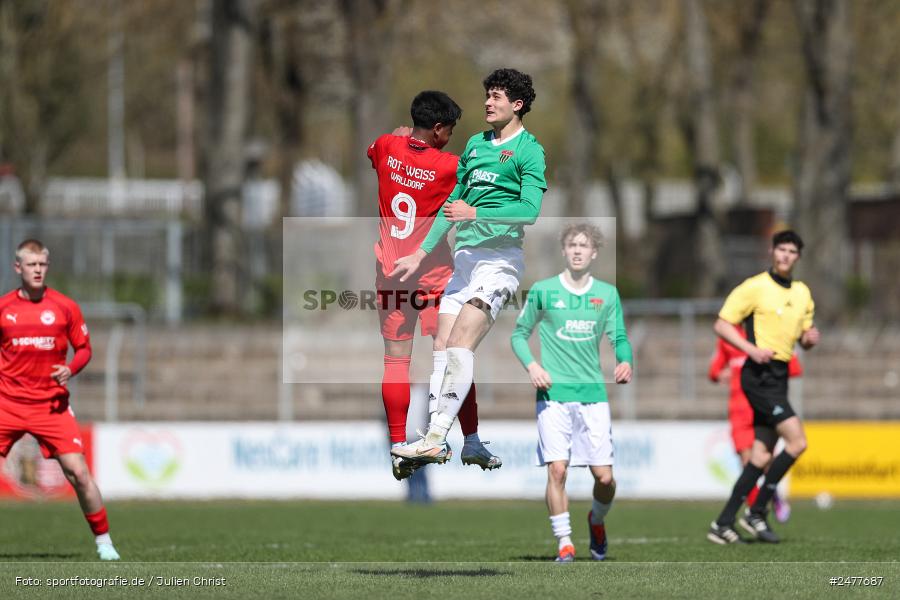 sport, action, Schweinfurt, Sachs Stadion, SV Rot-Weiss Walldorf, RWW, Hauptrunde Liga B Gruppe C, Fussball, FCS, DFB Nachwuchsliga, DFB, 9. Spieltag, 1. FC Schweinfurt 1905, 06.04.2025 - Bild-ID: 2477687