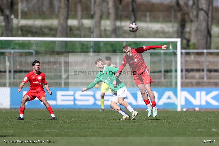 sport, action, Schweinfurt, Sachs Stadion, SV Rot-Weiss Walldorf, RWW, Hauptrunde Liga B Gruppe C, Fussball, FCS, DFB Nachwuchsliga, DFB, 9. Spieltag, 1. FC Schweinfurt 1905, 06.04.2025 - Bild-ID: 2477844 sport, action, Schweinfurt, Sachs Stadion, SV Rot-Weiss Walldorf, RWW, Hauptrunde Liga B Gruppe C, Fussball, FCS, DFB Nachwuchsliga, DFB, 9. Spieltag, 1. FC Schweinfurt 1905, 06.04.2025 - Bild-ID: 2477844