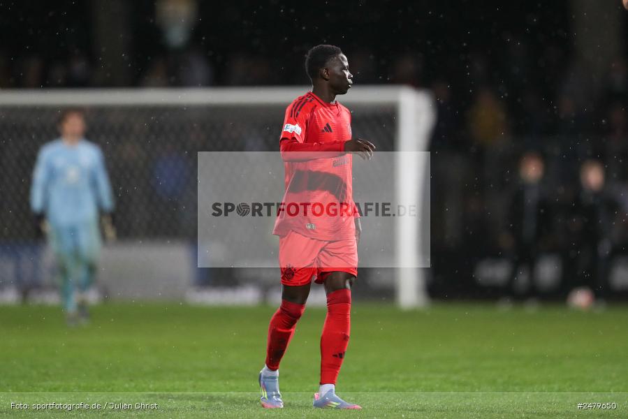 sport, action, Schweinfurt, Sachs-Stadion, Regionalliga Bayern, Fussball, FCS, FCB, FC Bayern München II, BFV, 29. Spieltag, 17.04.2025, 1. FC Schweinfurt 1905 - Bild-ID: 2479650