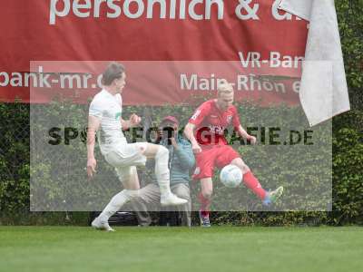 Bild-ID: 2479983