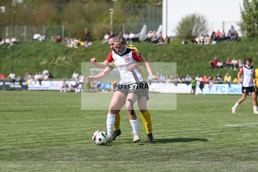 sport, action, Sportanlage Erlbachweg 9, Sachsen b. Ansbach, SVW, SV 67 Weinberg, SGE, Eintracht Frankfurt II, DFB, 22. Spieltag, 20.04.2025, 2. Frauen-Bundesliga - Bild-ID: 2480520 sport, action, Sportanlage Erlbachweg 9, Sachsen b. Ansbach, SVW, SV 67 Weinberg, SGE, Eintracht Frankfurt II, DFB, 22. Spieltag, 20.04.2025, 2. Frauen-Bundesliga - Bild-ID: 2480520