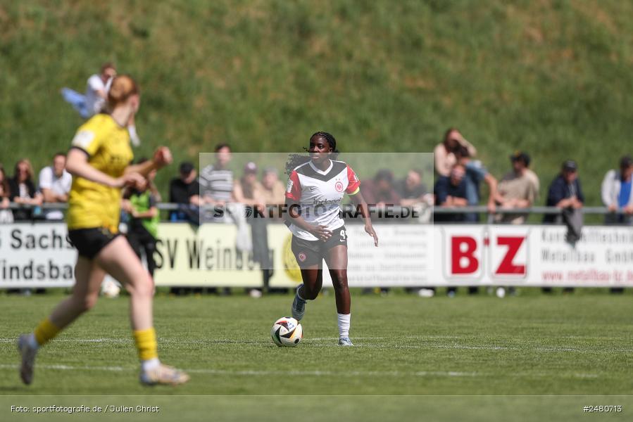 sport, action, Sportanlage Erlbachweg 9, Sachsen b. Ansbach, SVW, SV 67 Weinberg, SGE, Eintracht Frankfurt II, DFB, 22. Spieltag, 20.04.2025, 2. Frauen-Bundesliga - Bild-ID: 2480713 sport, action, Sportanlage Erlbachweg 9, Sachsen b. Ansbach, SVW, SV 67 Weinberg, SGE, Eintracht Frankfurt II, DFB, 22. Spieltag, 20.04.2025, 2. Frauen-Bundesliga - Bild-ID: 2480713