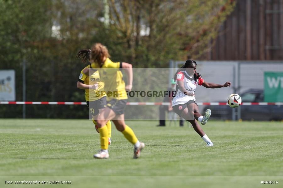sport, action, Sportanlage Erlbachweg 9, Sachsen b. Ansbach, SVW, SV 67 Weinberg, SGE, Eintracht Frankfurt II, DFB, 22. Spieltag, 20.04.2025, 2. Frauen-Bundesliga - Bild-ID: 2480714 sport, action, Sportanlage Erlbachweg 9, Sachsen b. Ansbach, SVW, SV 67 Weinberg, SGE, Eintracht Frankfurt II, DFB, 22. Spieltag, 20.04.2025, 2. Frauen-Bundesliga - Bild-ID: 2480714