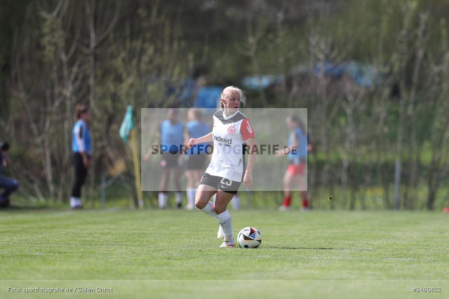 sport, action, Sportanlage Erlbachweg 9, Sachsen b. Ansbach, SVW, SV 67 Weinberg, SGE, Eintracht Frankfurt II, DFB, 22. Spieltag, 20.04.2025, 2. Frauen-Bundesliga - Bild-ID: 2480822 sport, action, Sportanlage Erlbachweg 9, Sachsen b. Ansbach, SVW, SV 67 Weinberg, SGE, Eintracht Frankfurt II, DFB, 22. Spieltag, 20.04.2025, 2. Frauen-Bundesliga - Bild-ID: 2480822