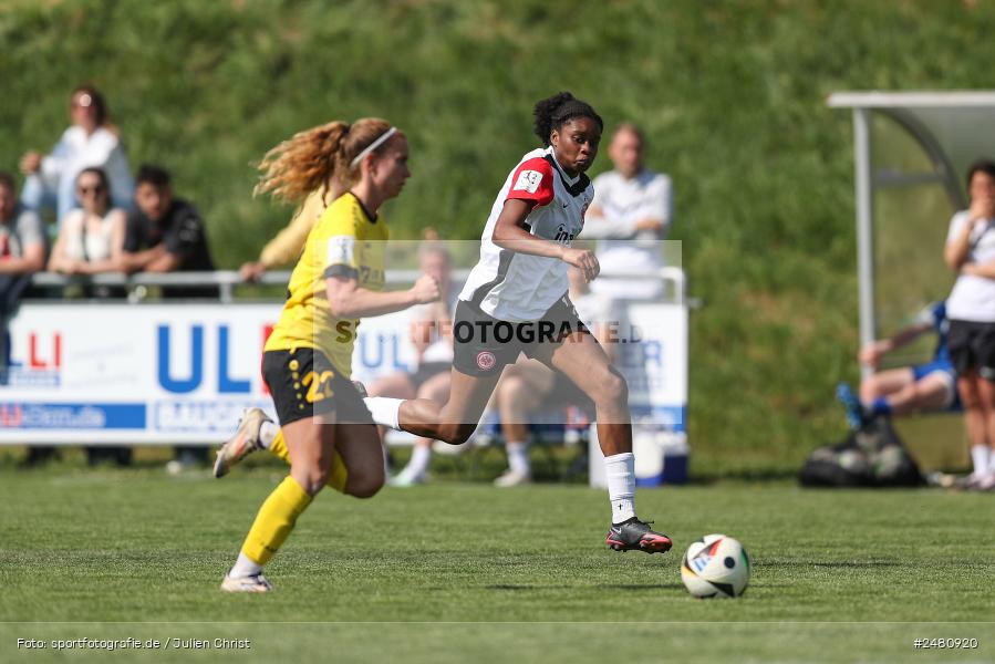 sport, action, Sportanlage Erlbachweg 9, Sachsen b. Ansbach, SVW, SV 67 Weinberg, SGE, Eintracht Frankfurt II, DFB, 22. Spieltag, 20.04.2025, 2. Frauen-Bundesliga - Bild-ID: 2480920 sport, action, Sportanlage Erlbachweg 9, Sachsen b. Ansbach, SVW, SV 67 Weinberg, SGE, Eintracht Frankfurt II, DFB, 22. Spieltag, 20.04.2025, 2. Frauen-Bundesliga - Bild-ID: 2480920