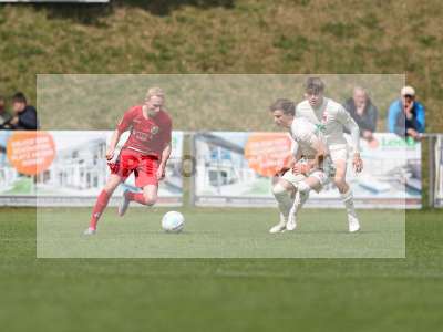 Bild-ID: 2480067