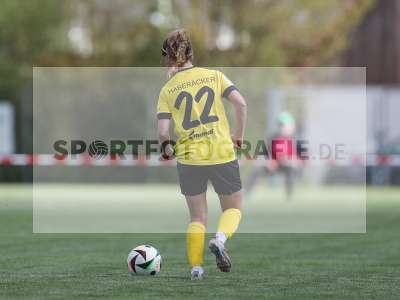 Bild-ID: 2480705