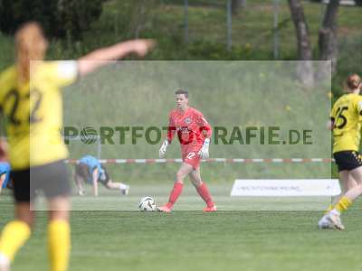 Bild-ID: 2480708
