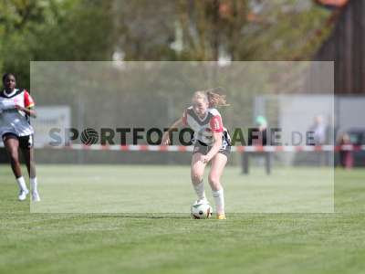 Bild-ID: 2480711