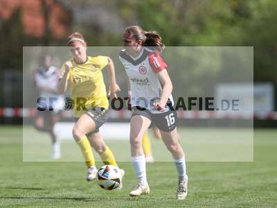 Bild-ID: 2480716