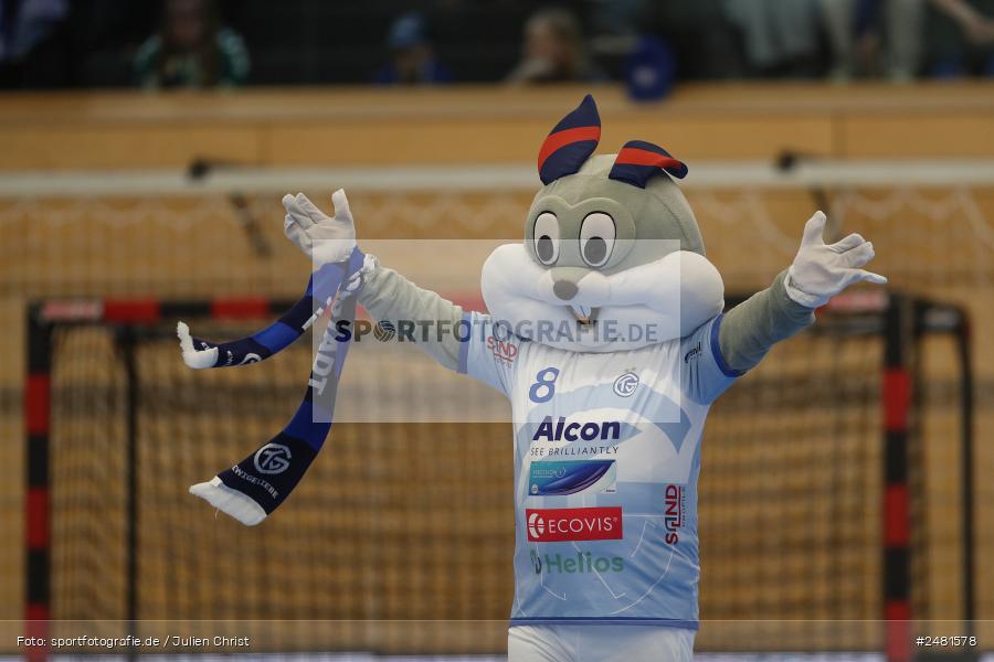 sport, action, Untermainhalle, TVG, TV Großwallstadt, Handball, GWD Minden, GWD, Elsenfeld, 21.04.2025, 2. Handball-Bundesliga, 2. HBL - Bild-ID: 2481578 sport, action, Untermainhalle, TVG, TV Großwallstadt, Handball, GWD Minden, GWD, Elsenfeld, 21.04.2025, 2. Handball-Bundesliga, 2. HBL - Bild-ID: 2481578