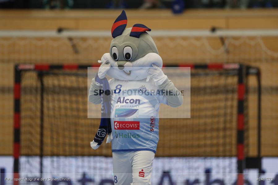 sport, action, Untermainhalle, TVG, TV Großwallstadt, Handball, GWD Minden, GWD, Elsenfeld, 21.04.2025, 2. Handball-Bundesliga, 2. HBL - Bild-ID: 2481579 sport, action, Untermainhalle, TVG, TV Großwallstadt, Handball, GWD Minden, GWD, Elsenfeld, 21.04.2025, 2. Handball-Bundesliga, 2. HBL - Bild-ID: 2481579