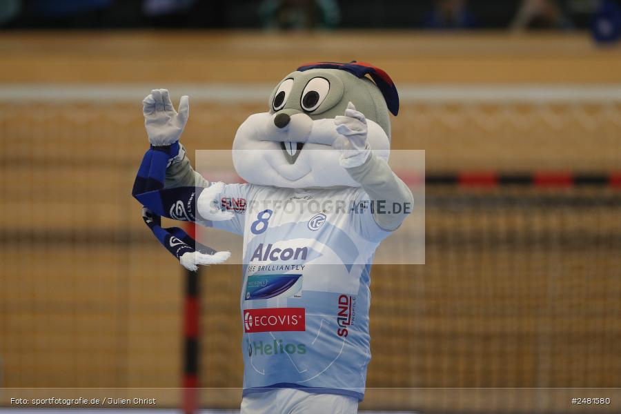 sport, action, Untermainhalle, TVG, TV Großwallstadt, Handball, GWD Minden, GWD, Elsenfeld, 21.04.2025, 2. Handball-Bundesliga, 2. HBL - Bild-ID: 2481580 sport, action, Untermainhalle, TVG, TV Großwallstadt, Handball, GWD Minden, GWD, Elsenfeld, 21.04.2025, 2. Handball-Bundesliga, 2. HBL - Bild-ID: 2481580