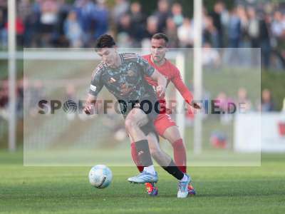 Fotos von TSV Aubstadt - FC Bayern München II auf sportfotografie.de