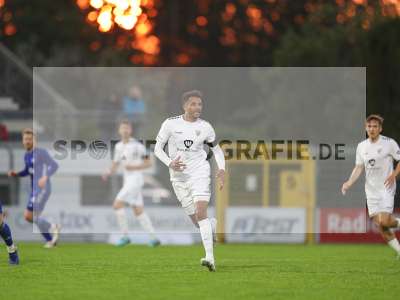 Fotos von SV Viktoria Aschaffenburg - 1. FC Schweinfurt 1905 auf sportfotografie.de