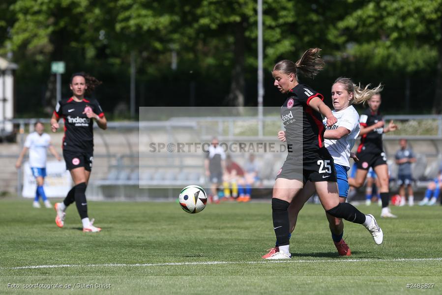sport, action, Stadion am Brentanobad, SGE, SCS, SC Sand, Fussball, Frankfurt, Eintracht Frankfurt II, DFB, 27.04.2025, 23. Spieltag, 2. Frauen-Bundesliga - Bild-ID: 2483827 sport, action, Stadion am Brentanobad, SGE, SCS, SC Sand, Fussball, Frankfurt, Eintracht Frankfurt II, DFB, 27.04.2025, 23. Spieltag, 2. Frauen-Bundesliga - Bild-ID: 2483827