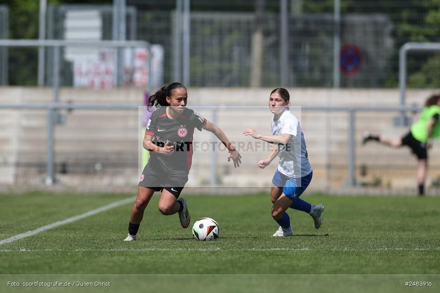 sport, action, Stadion am Brentanobad, SGE, SCS, SC Sand, Fussball, Frankfurt, Eintracht Frankfurt II, DFB, 27.04.2025, 23. Spieltag, 2. Frauen-Bundesliga - Bild-ID: 2483916 sport, action, Stadion am Brentanobad, SGE, SCS, SC Sand, Fussball, Frankfurt, Eintracht Frankfurt II, DFB, 27.04.2025, 23. Spieltag, 2. Frauen-Bundesliga - Bild-ID: 2483916