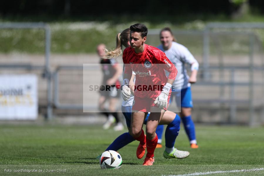 sport, action, Stadion am Brentanobad, SGE, SCS, SC Sand, Fussball, Frankfurt, Eintracht Frankfurt II, DFB, 27.04.2025, 23. Spieltag, 2. Frauen-Bundesliga - Bild-ID: 2483956 sport, action, Stadion am Brentanobad, SGE, SCS, SC Sand, Fussball, Frankfurt, Eintracht Frankfurt II, DFB, 27.04.2025, 23. Spieltag, 2. Frauen-Bundesliga - Bild-ID: 2483956