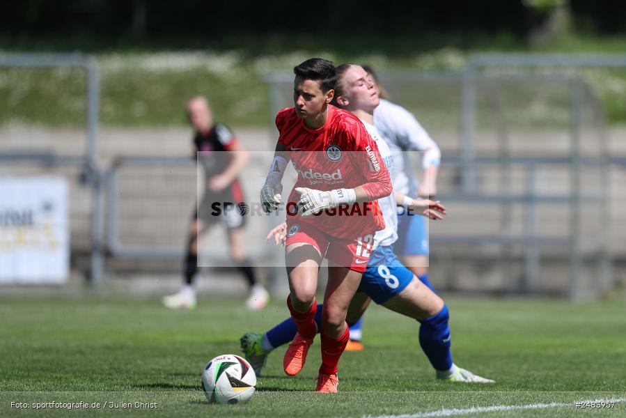 sport, action, Stadion am Brentanobad, SGE, SCS, SC Sand, Fussball, Frankfurt, Eintracht Frankfurt II, DFB, 27.04.2025, 23. Spieltag, 2. Frauen-Bundesliga - Bild-ID: 2483957 sport, action, Stadion am Brentanobad, SGE, SCS, SC Sand, Fussball, Frankfurt, Eintracht Frankfurt II, DFB, 27.04.2025, 23. Spieltag, 2. Frauen-Bundesliga - Bild-ID: 2483957
