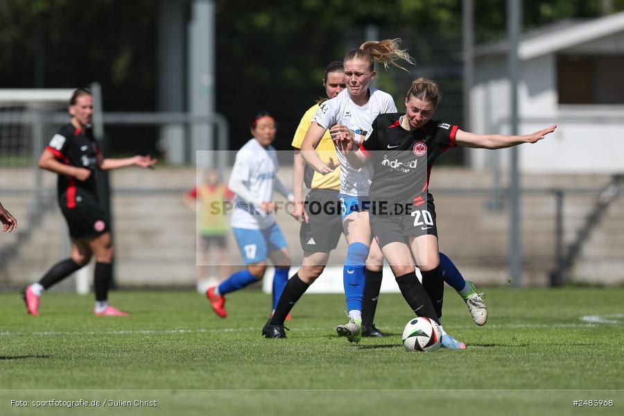 sport, action, Stadion am Brentanobad, SGE, SCS, SC Sand, Fussball, Frankfurt, Eintracht Frankfurt II, DFB, 27.04.2025, 23. Spieltag, 2. Frauen-Bundesliga - Bild-ID: 2483968 sport, action, Stadion am Brentanobad, SGE, SCS, SC Sand, Fussball, Frankfurt, Eintracht Frankfurt II, DFB, 27.04.2025, 23. Spieltag, 2. Frauen-Bundesliga - Bild-ID: 2483968