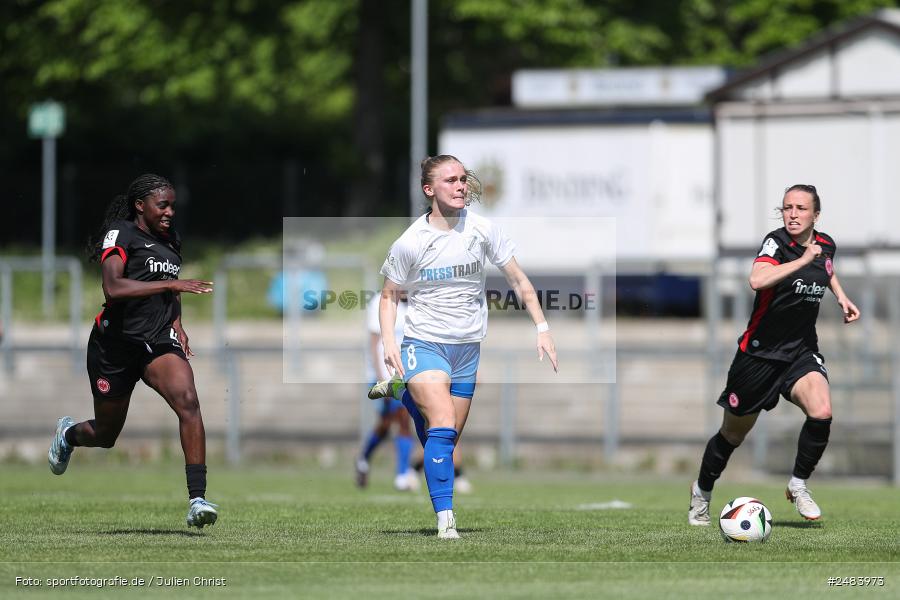 sport, action, Stadion am Brentanobad, SGE, SCS, SC Sand, Fussball, Frankfurt, Eintracht Frankfurt II, DFB, 27.04.2025, 23. Spieltag, 2. Frauen-Bundesliga - Bild-ID: 2483973 sport, action, Stadion am Brentanobad, SGE, SCS, SC Sand, Fussball, Frankfurt, Eintracht Frankfurt II, DFB, 27.04.2025, 23. Spieltag, 2. Frauen-Bundesliga - Bild-ID: 2483973